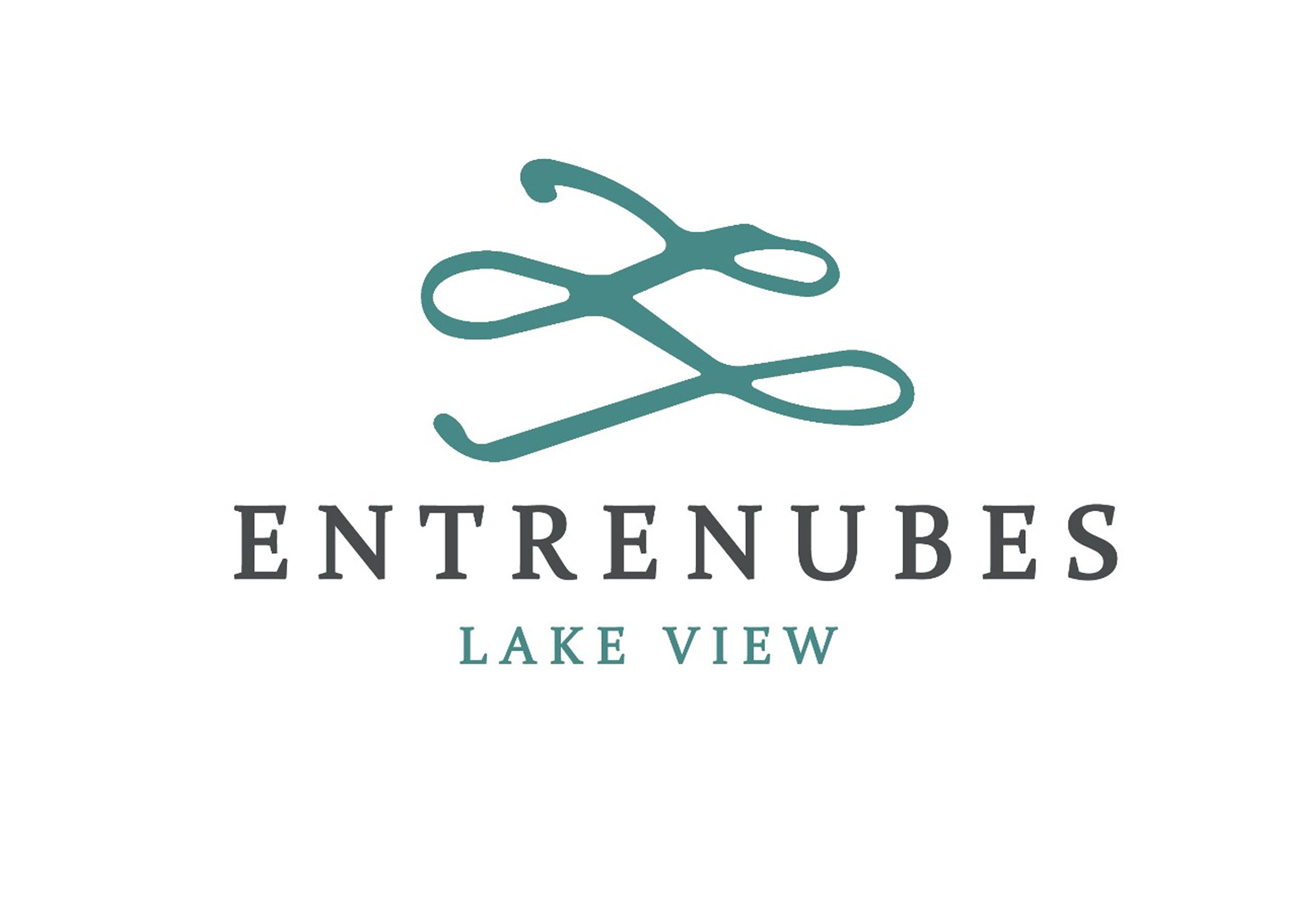 entrenubeslakeview